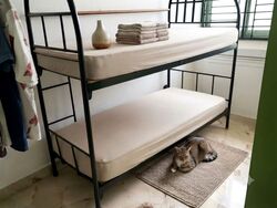 Blk 418 Teck Ghee Heartlands (Ang Mo Kio), HDB 3 Rooms #621707261